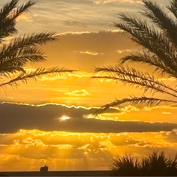 Jeremiah 29:11 ~ my life verse - Picture 3 of 10